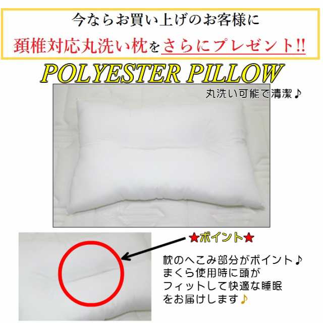 True Sleeper】【正規品】トゥルースリーパー ライト3.5 セミダブル 内