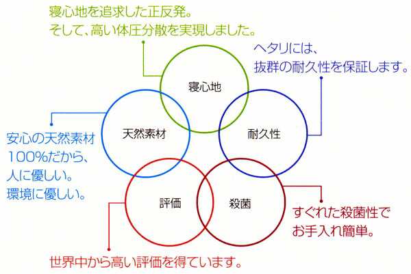 ボディドクター ドクターピロー 枕 高め 60×40×11cm 低め 60×40×7.5cm