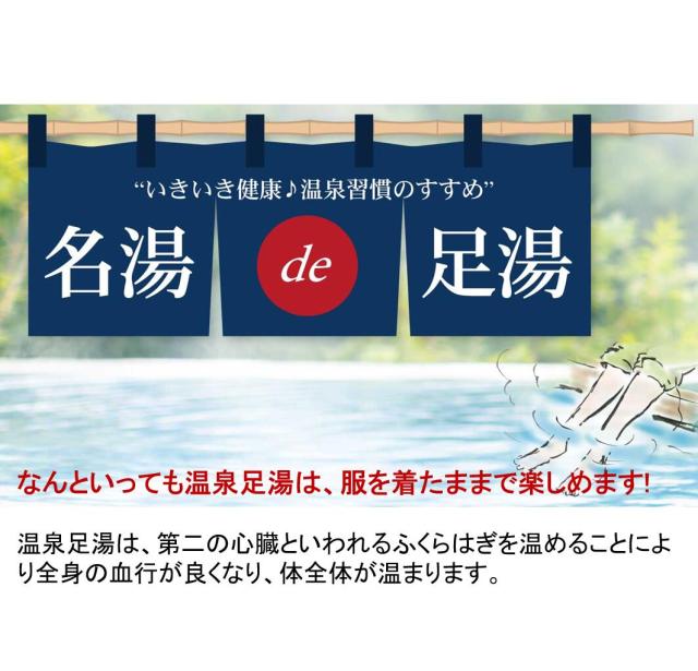 【温泉宅配】【別府温泉 桜湯 ペットボトルタイプ 2L×6本 】ナトリウム・マグネシウム-炭酸水素塩・塩化物温泉。きりきず、末梢循環障害、冷え性、皮膚乾燥症ほか_12