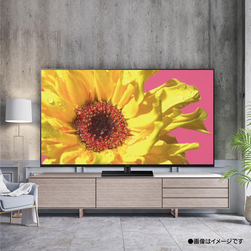 保証付き パナソニック 4K液晶テレビ TH-65LX950 65インチ