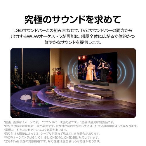 無料長期保証】LG Electorinics Japan OLED65C4PJA 有機ELテレビ 65V型