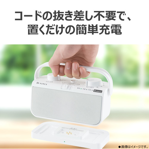 東芝 AX-WST21(W) テレビ用スピーカー ステレオスピーカー搭載 防滴仕様 ホワイト_14