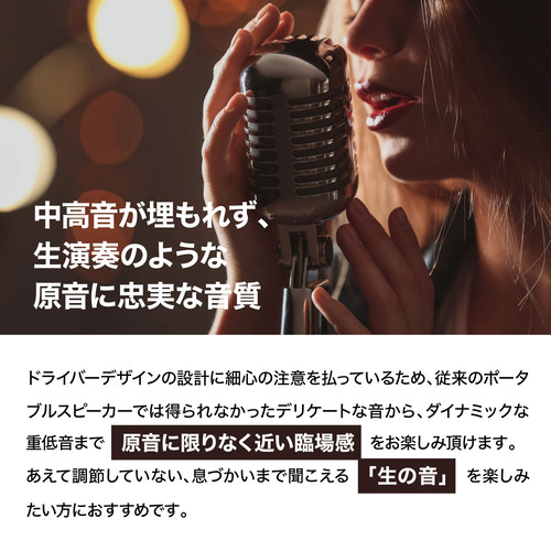 Klipsch av020002-C01 Bluetoothスピーカー ナッシュビル IP67防水防塵対応 ブラック_3