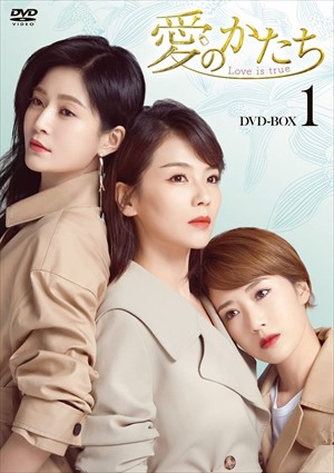 【DVD】愛のかたち〜Love is true〜 DVD-BOX1