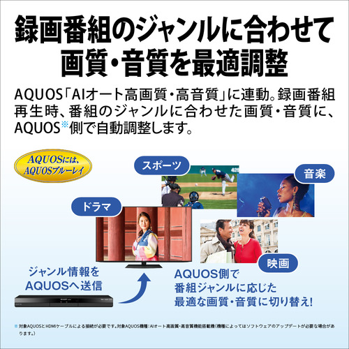 SHARP 2B-C20GT1 ブルーレイディスクレコーダー AQUOS ブルーレイ トリプルチューナー 2TB