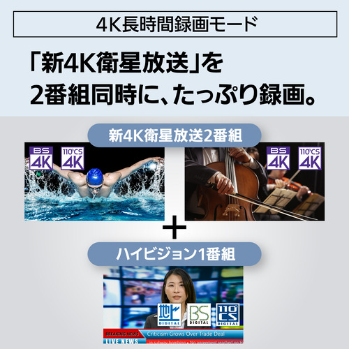 パナソニック DMR-4T205 ブルーレイディスクレコーダー ディーガ 2TB 3番組同時録画 BS・CS 4Kチューナー内蔵