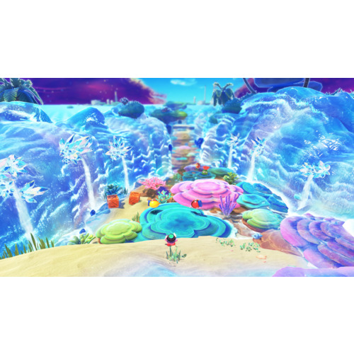 星のカービィ ディスカバリー Nintendo Switch 2 Edition ＋ スター