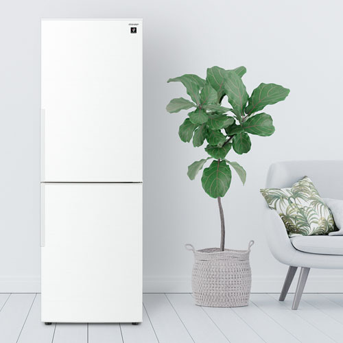 シャープ SJ-PD31J プラズマクラスター冷蔵庫 310L ホワイト SJPD31Jの