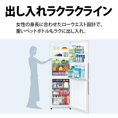 シャープ SJ-PD31J プラズマクラスター冷蔵庫 310L ホワイト SJPD31Jの 