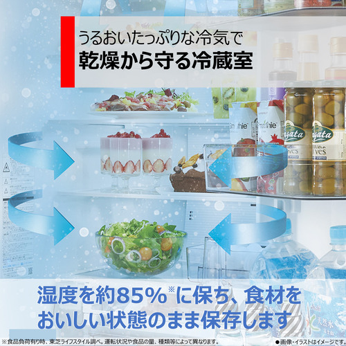 無料長期保証】東芝 GR-V460FK(EC) 6ドア冷蔵庫 (462L・フレンチドア