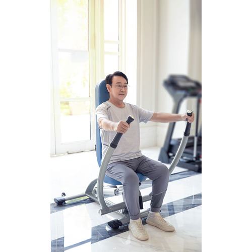 ダイコー DK-672 チェストプレス ロウ DK672の通販は