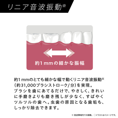 パナソニック EW-DA48-A 音波振動ハブラシ ドルツ リニア音波振動 ポイント磨きブラシ付属 ディープネイビー_5