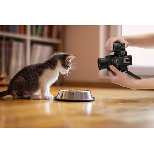 キヤノン ミラーレスカメラ EOS R10 18-150 IS STM レンズキット