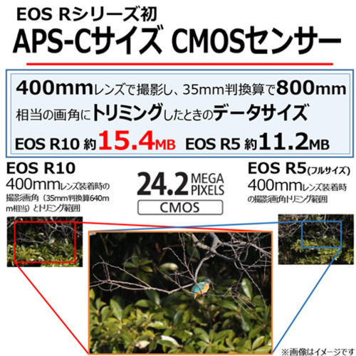 キヤノン ミラーレスカメラ EOS R10 18-150 IS STM レンズキット