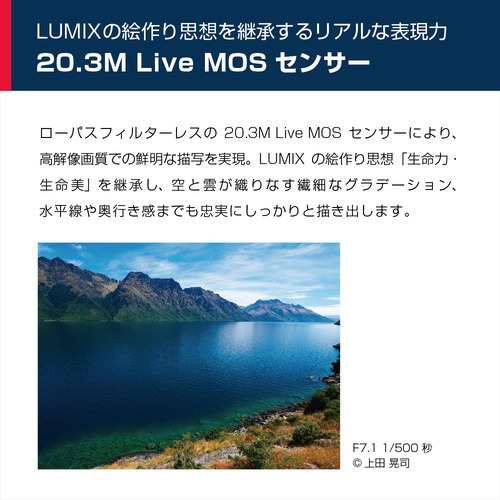 推奨品】パナソニック DC-G99DH LUMIX G99 高倍率ズームレンズキット