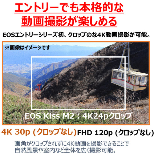 キヤノン デジタル一眼カメラ EOS R50 ダブルズームキット ホワイト_8