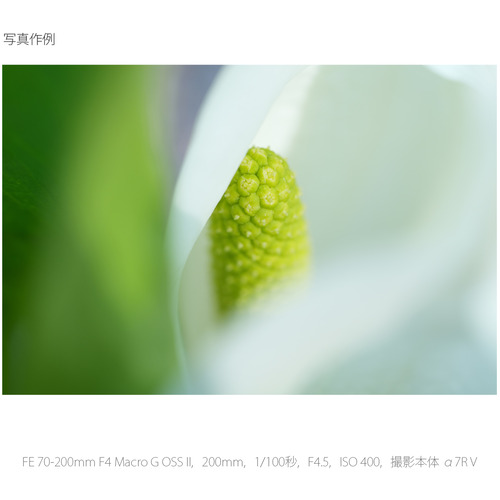 ソニー SEL70200G2 交換用レンズ α[Eマウント]用レンズ FE 70-200mm F4 Macro G OSS II?_11