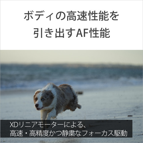 ソニー SEL70200G2 交換用レンズ α[Eマウント]用レンズ FE 70-200mm F4 Macro G OSS II?_5