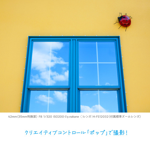 パナソニック DC-G100DW-K デジタル一眼カメラ ダブルズームレンズキット LUMIX G100D ブラック_10