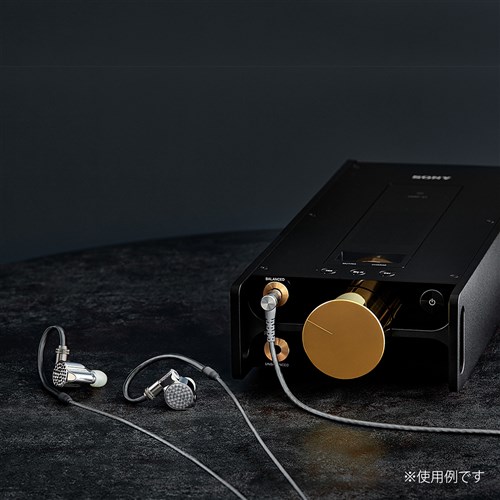 ソニー IER-Z1R ハイレゾ音源対応 カナル型イヤホンの通販はau PAY