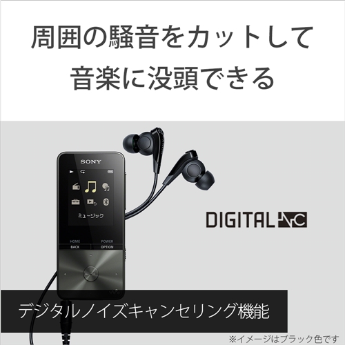 ソニー NW-S313-L ウォークマン Sシリーズ[メモリータイプ] 4GB ブルー