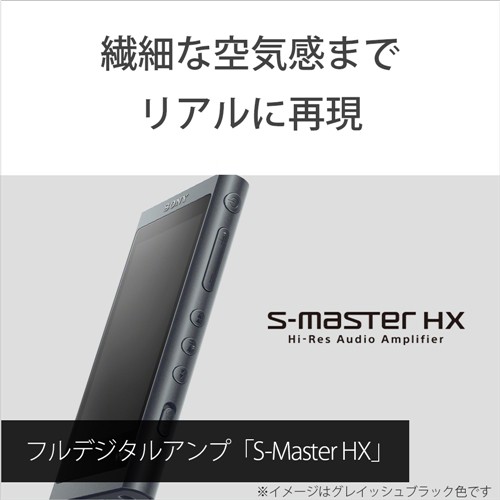 ソニー NW-A55NM ウォークマン A50シリーズ 16GB ペールゴールドの通販