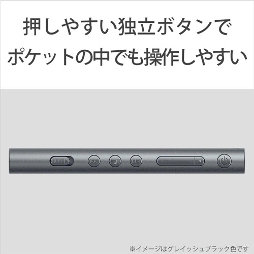 ソニー NW-A55NM ウォークマン A50シリーズ 16GB ペールゴールドの通販