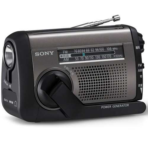 SONY D-NE800
