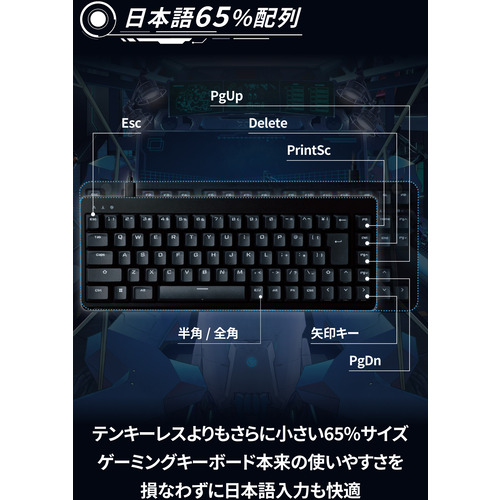 エレコム TK-VK200SBK ゲーミングキーボード USB-Aハブ搭載 V custom VK200S(銀軸) ブラック TKVK200SBK_1