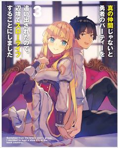 【DVD】真の仲間じゃないと勇者のパーティーを追い出されたので、辺境でスローライフすることにしました 第3巻の通販は
