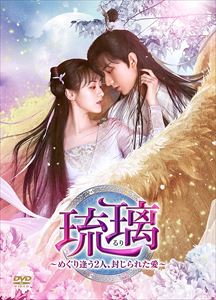 【DVD】琉璃〜めぐり逢う2人、封じられた愛〜 DVD-BOX2