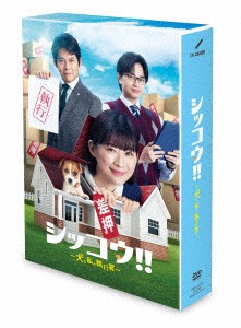 悲しき恋歌 全10枚 第1話〜第20話 DVD 全巻セット レンタル落ち-