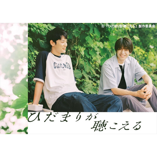 全巻セット【中古】DVD▼あひるの空(17枚セット)第1話～第50話 最終▽レンタル落ち あひるの空 全17枚 第1話〜第50話 最終 中古DVD 全巻セット