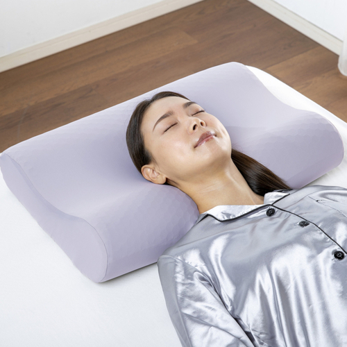 期間限定大特価】フランスベッド ズカンピロー（ZUKAN PILLOW）頭の熱