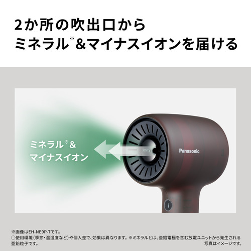 パナソニック EH-NE9P-G ヘアードライヤー イオニティ 速乾 温風リズム 