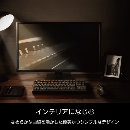 エレコム TK-MC30UKPBK 有線メカニカルテンキーレスキーボード 静音赤軸 ブラック_4