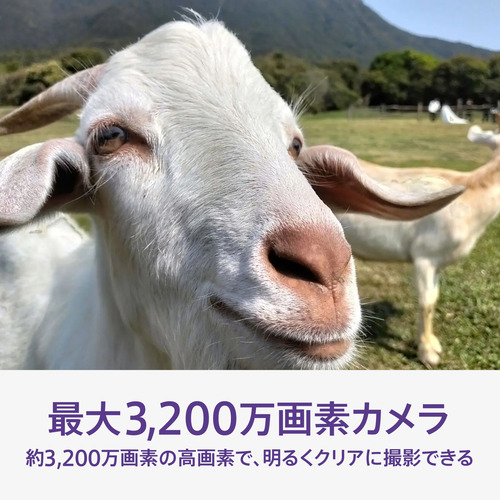 OPPO CPH2725 WH OPPO A5x SIMフリースマートフォン 6.7型 メモリ／ストレージ：4GB／128GB ホワイト_9