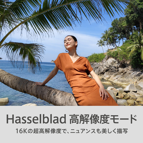 ★SUH OPPO CPH2765 ST OPPO Find N6 折り畳みスマホ Snapdragon 8 Elite Gen 5搭載 16GB メモリ 512GB ストレージ ステラーチタニウム_11