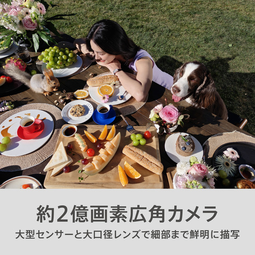 ★SUH OPPO CPH2765 ST OPPO Find N6 折り畳みスマホ Snapdragon 8 Elite Gen 5搭載 16GB メモリ 512GB ストレージ ステラーチタニウム_8