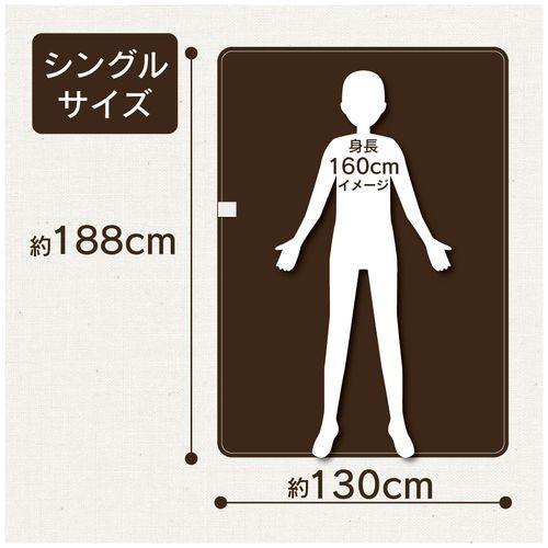 ZEPEAL DM-Y421KSL-BR 電気掛敷毛布（消臭・抗ウイルス） ブラウン