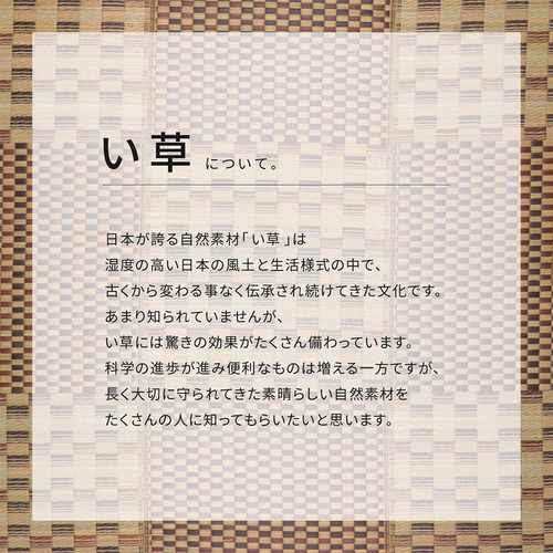 萩原 はっ水 い草ラグ キハチ 約240×240cm ブルー_4