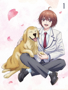 【DVD】花ざかりの君たちへ DVD BOX Vol.1(完全生産限定版)