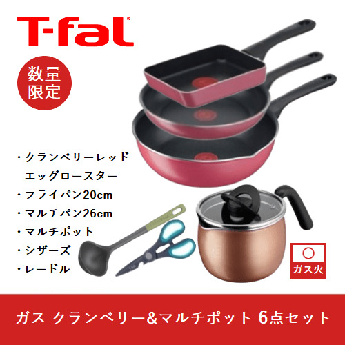 在庫限り】ティファール(T-FAL) ガス クランベリー&マルチポットセット