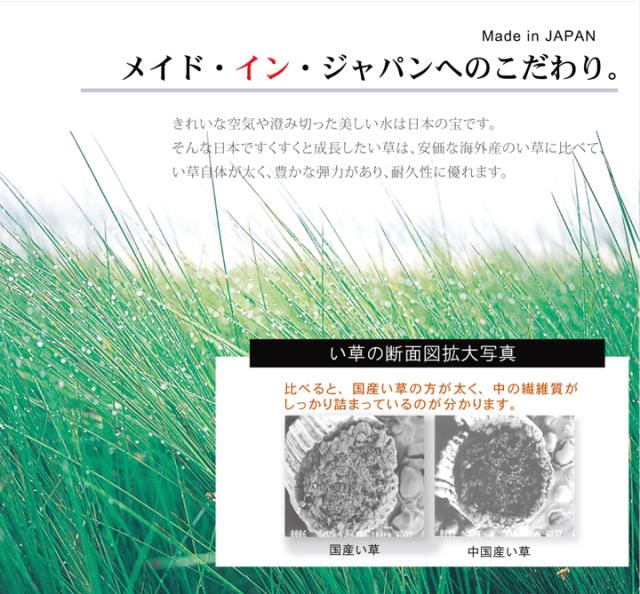 い草 引っ敷き 国産 引っ敷き 約191×250糎 (裏:ウレタン） レンガ 赤銅色 畳上敷き つや消し 日本製 リビング 御茶の間 イケ1714630