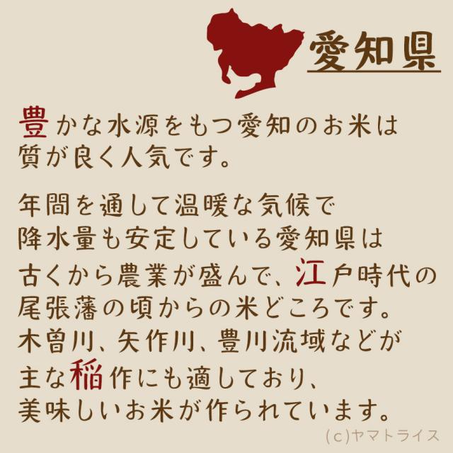あいちのかおり お米 米 10kg (5kg×2袋) 白米 令和7年産 愛知県産 ※北海道・沖縄は送料900円_3