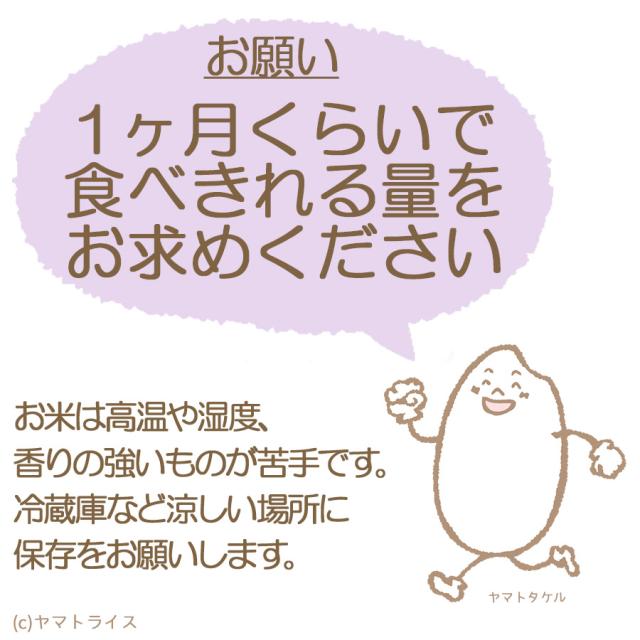 あいちのかおり お米 米 10kg (5kg×2袋) 白米 令和7年産 愛知県産 ※北海道・沖縄は送料900円_8
