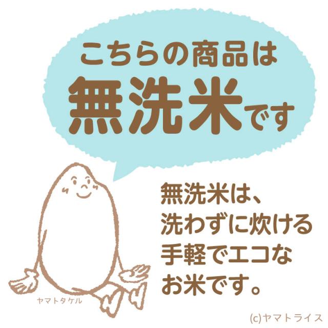 お米 米 タニタ食堂の金芽米 18kg (4.5kg×4袋) 無洗米 計量カップ付 令和7年産 窒素充填 北海道・沖縄送料900円_5