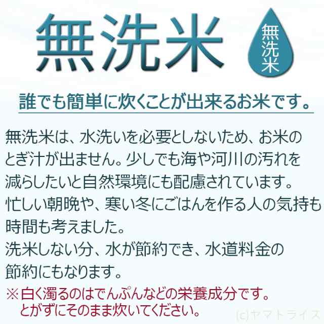 お米 米 タニタ食堂の金芽米 9kg (4.5kg×2袋) 無洗米 計量カップ付 令和3年産 北海道・沖縄は送料900円 の通販はau PAY  マーケット - ヤマトライス