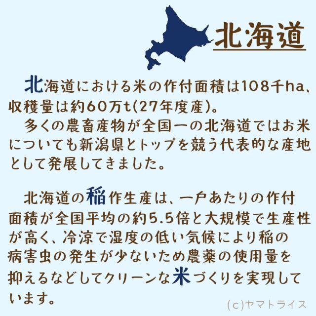 【500円OFFセール】お米 米 北海道産 ゆめぴりか 10kg (5kg×2袋)  白米 特A ホクレン認定マーク 令和7年産 北海道・沖縄は送料900円_4