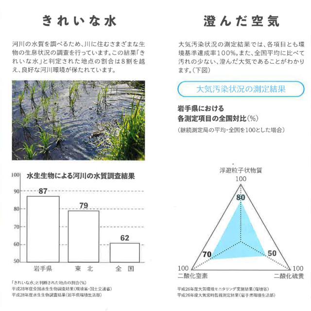 お米 米 岩手県産 銀河のしずく 10kg (5kg×2袋) 白米 令和7年産 北海道・沖縄は　_6